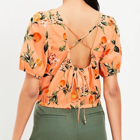 Loft Cropped Top - Picture 5 of 5